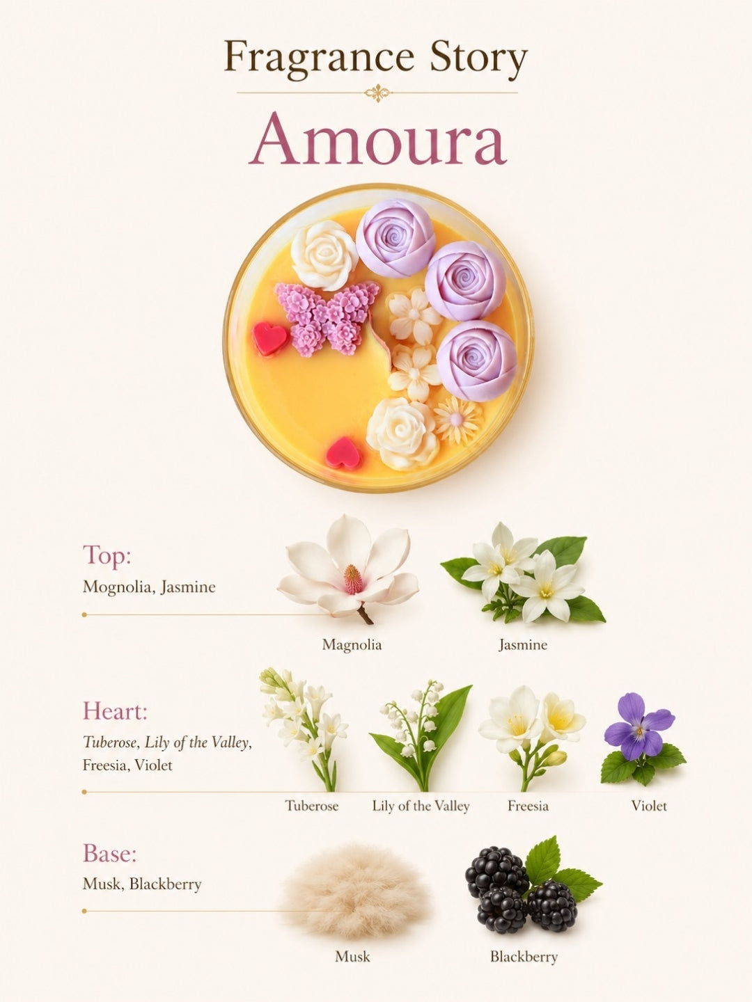 Fragrance story graphic for 'Amoura' showing a round yellow wax of Candle Jar decorated with purple, white, and pink floral shapes. Below, labeled notes list the scent notes: Top (Magnolia, Jasmine), Heart (Tuberose, Lily of the Valley, Freesia, Violet), and Base (Musk, Blackberry), with corresponding botanical illustrations on a warm cream background.